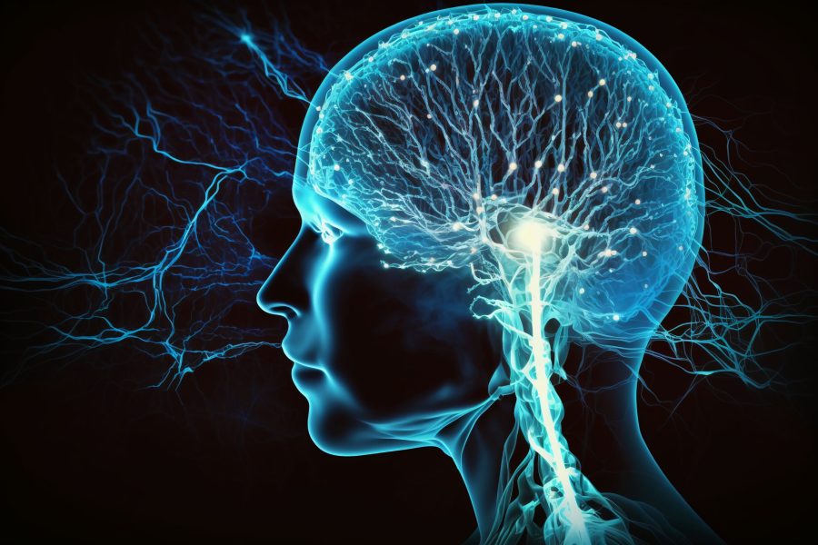 blue-image-woman-s-head-with-brain-highlighted